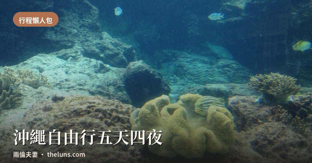 兩倫夫妻部落格封面，沖繩自由行五天四夜行程，海底珊瑚礁熱帶魚