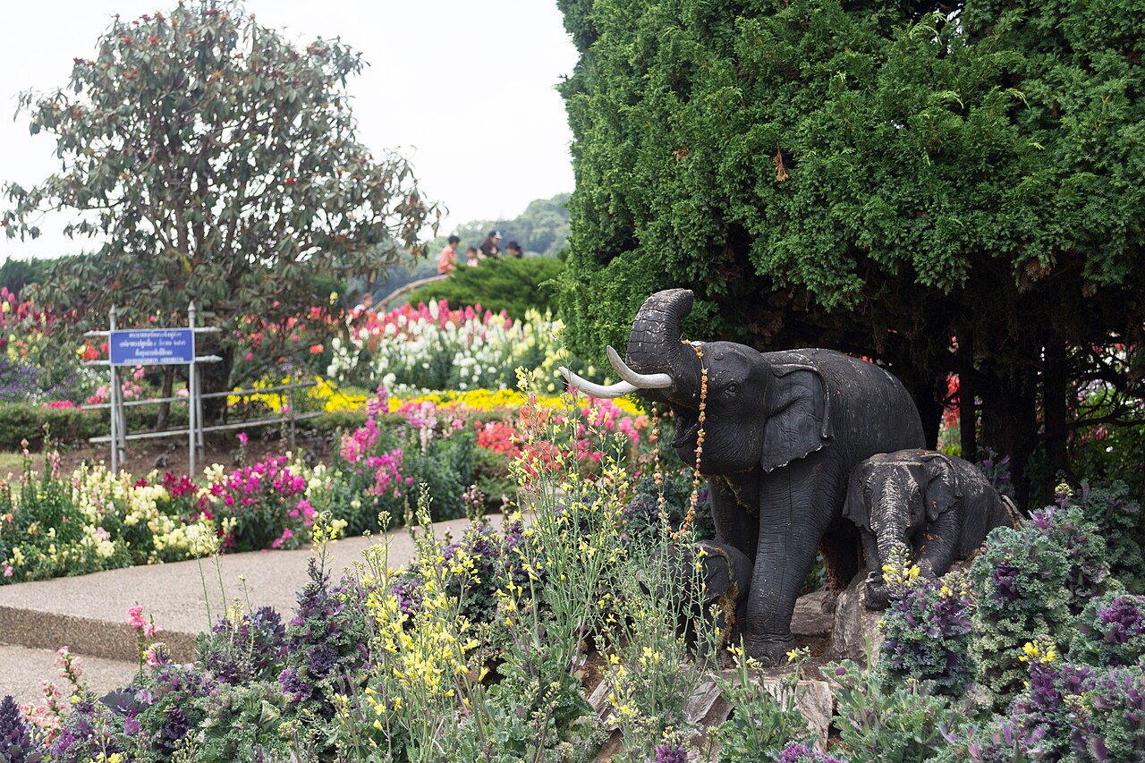 因他農國家公園(Doi Inthanon)山頂的皇家雙塔,泰國最高峰的涼意與雲海。實景示意圖,非兩倫自行拍攝。