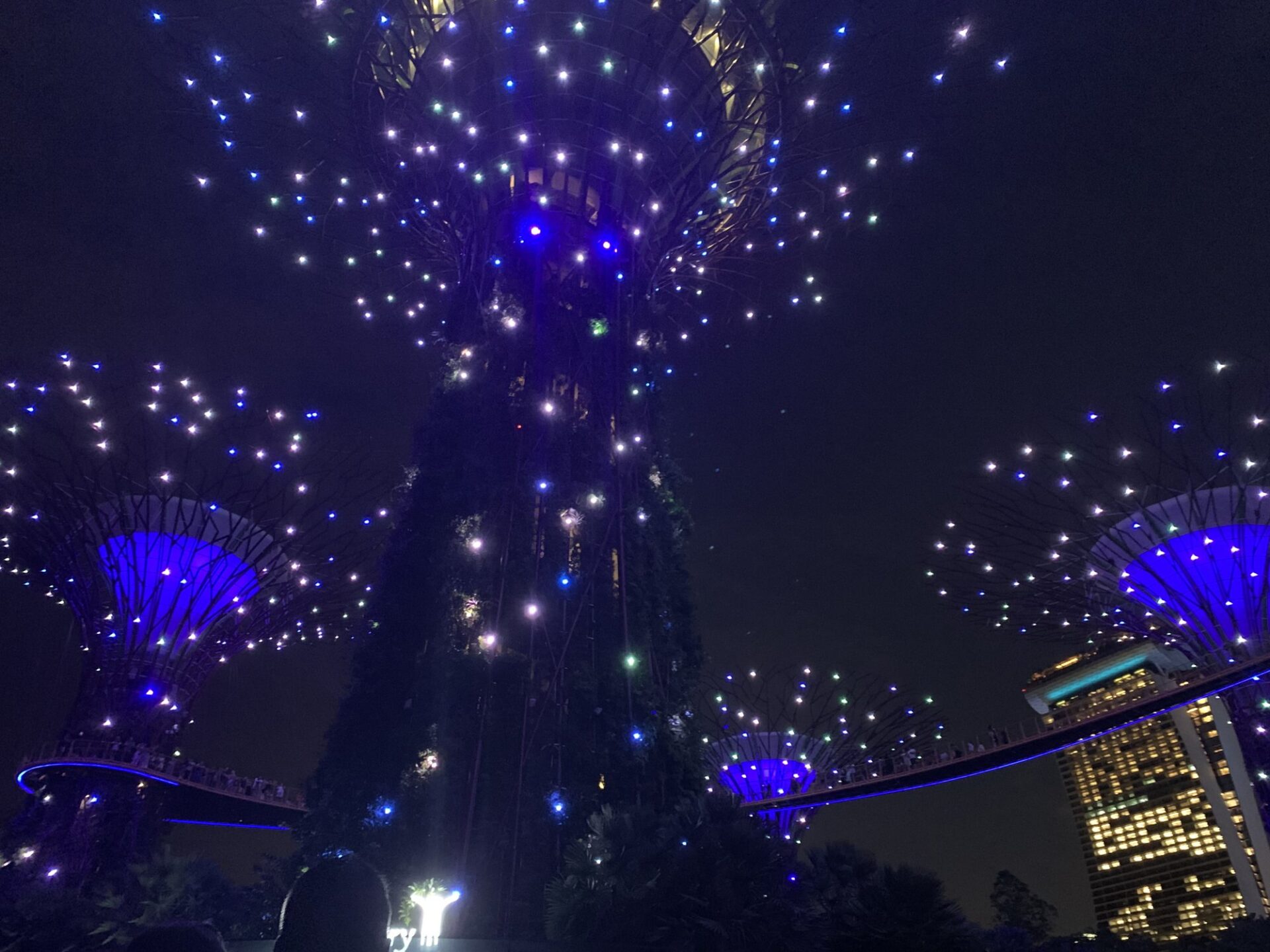 濱海灣花園的擎天大樹,晚上燈光秀一開孩子眼睛都亮了——這是我們那趟在新加坡拍的