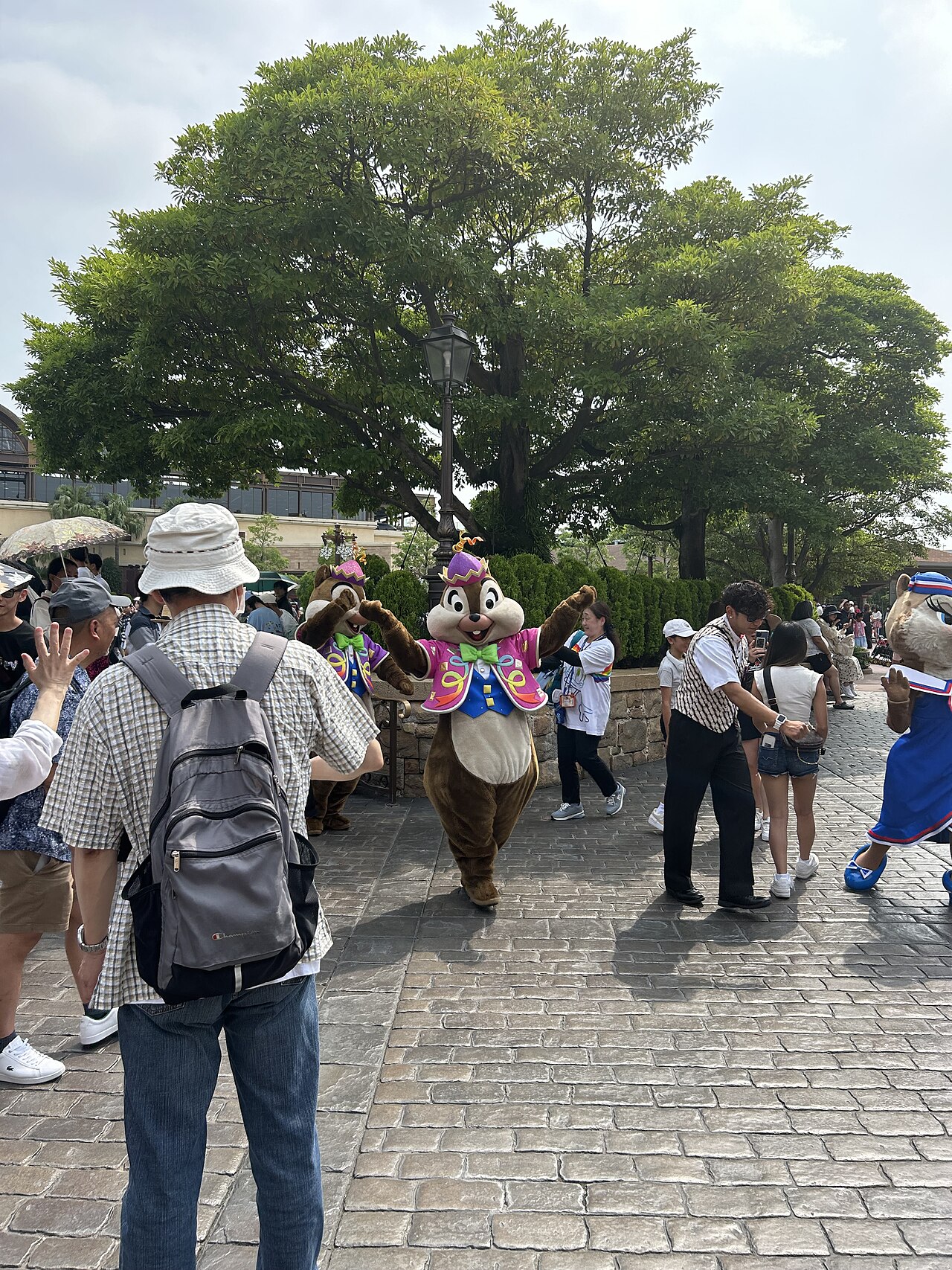 海洋的地中海港灣，入夜後的氛圍是很多人二訪的理由（授權實景示意，非兩倫自攝）