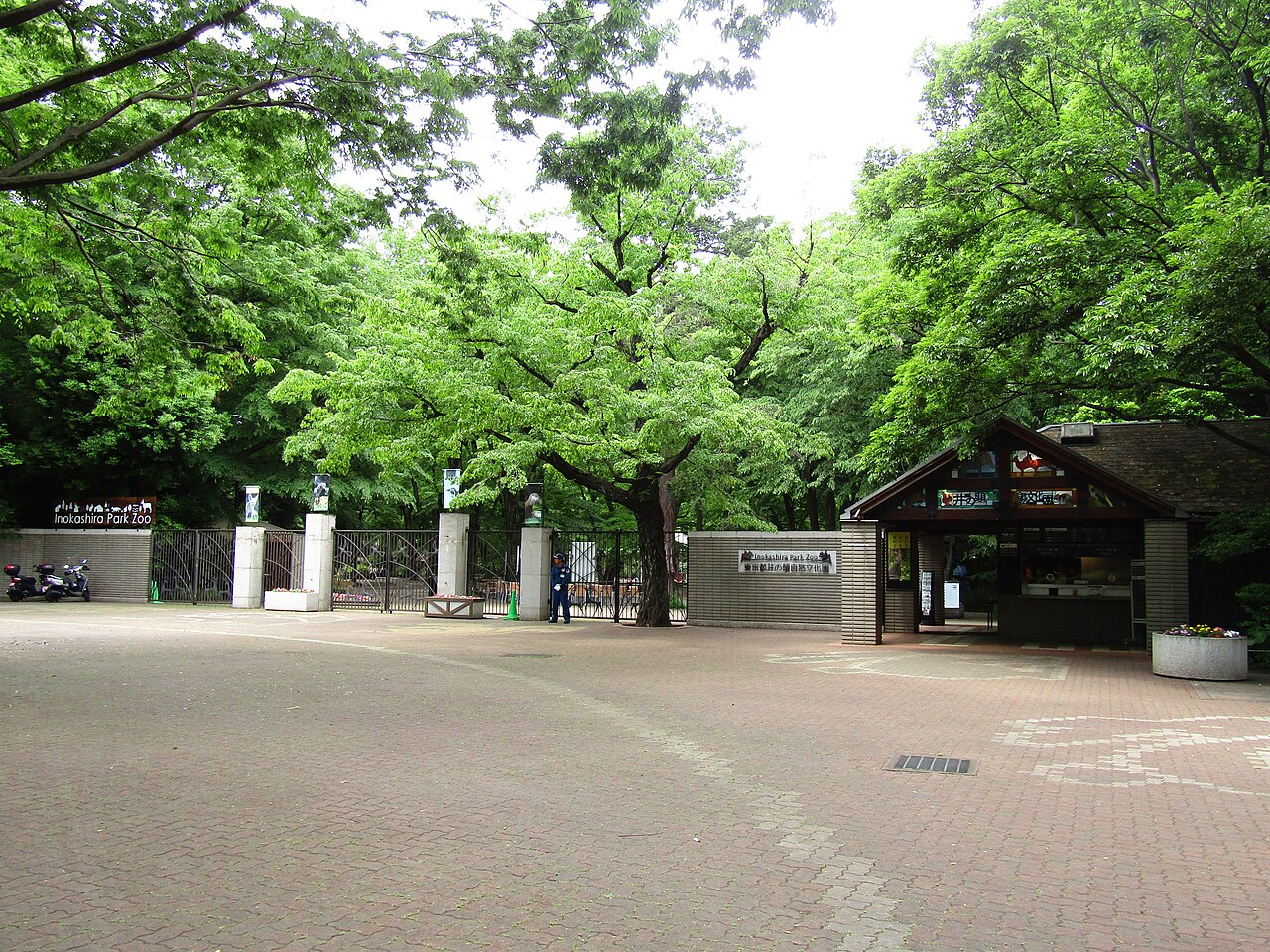 井之頭公園——划船、綠地、小動物園,吉卜力美術館就在旁邊(實景示意,CC 授權,非兩倫自攝)