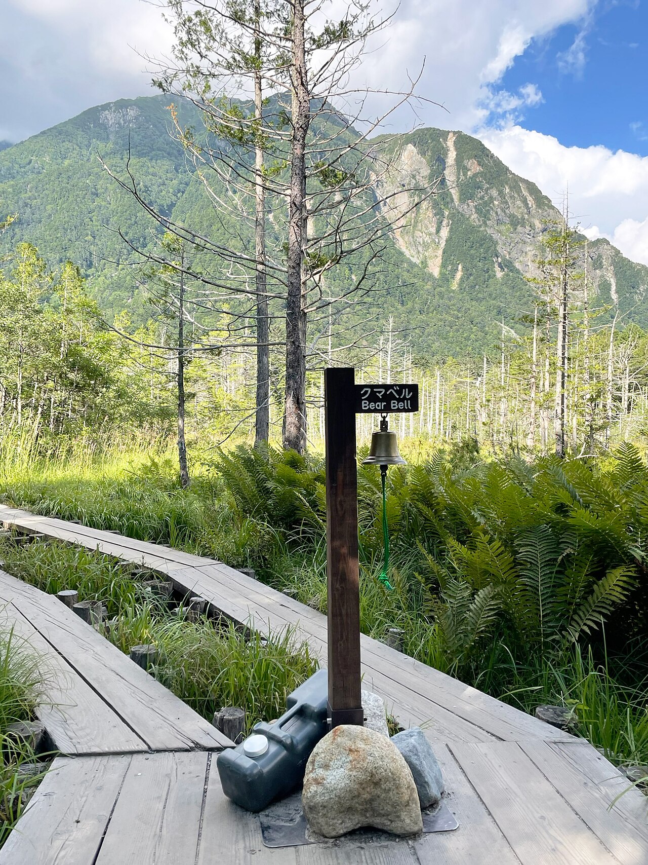 上高地，海拔約 1,500 公尺，夏天走起來清清涼涼，跟平地的桑拿完全兩個世界。