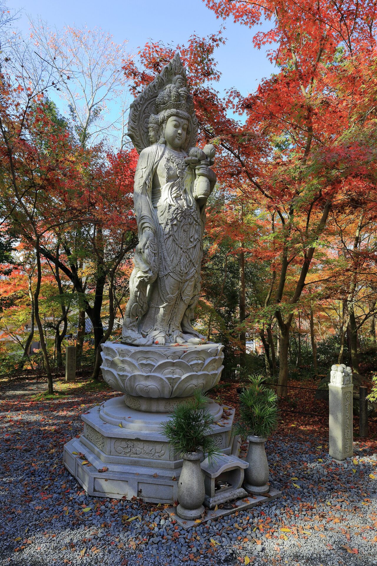 永觀堂(禪林寺)的紅葉與夜楓聞名,住東山步行圈清晨最能躲人潮(示意圖,非本人拍攝)