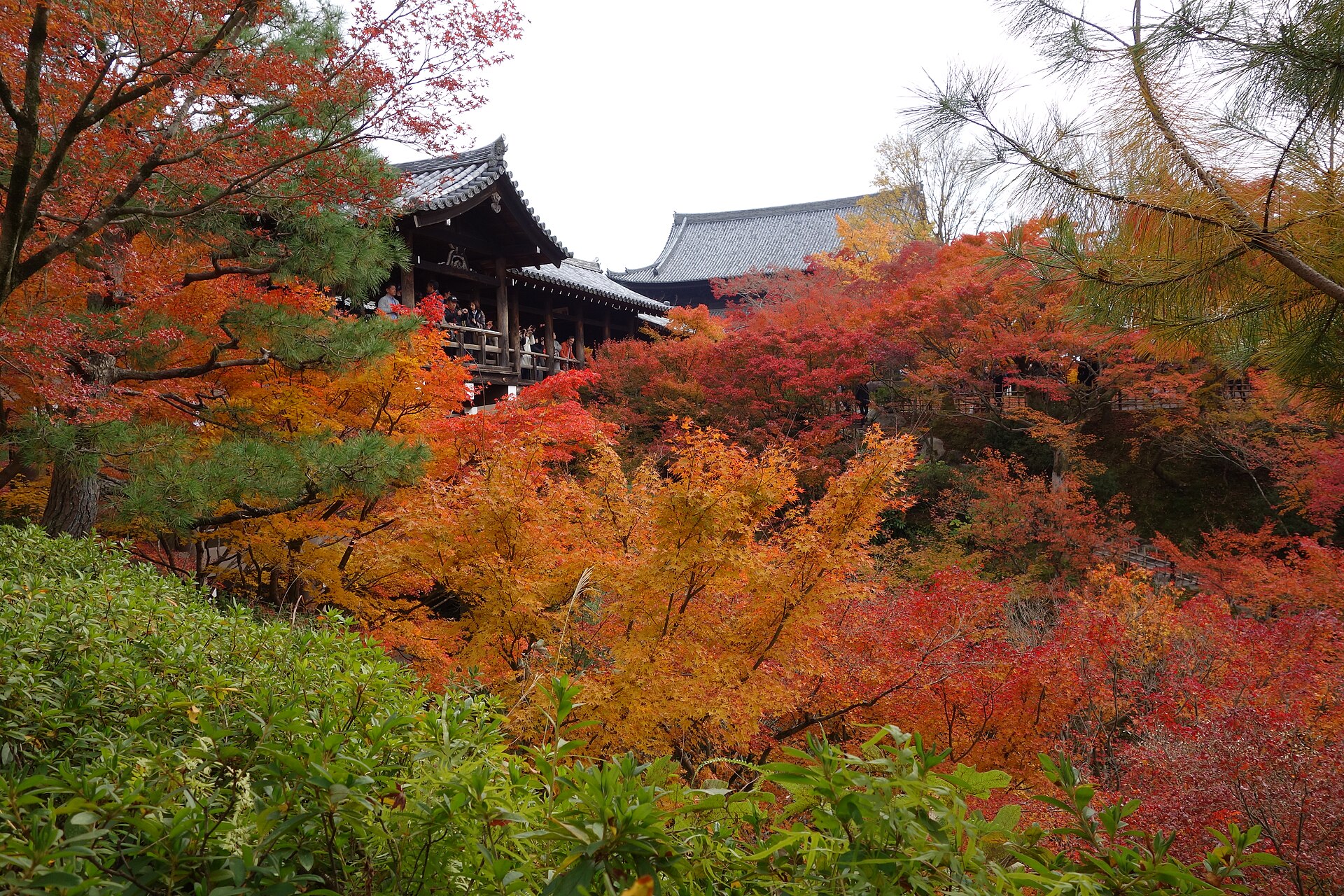 東福寺賞楓人潮