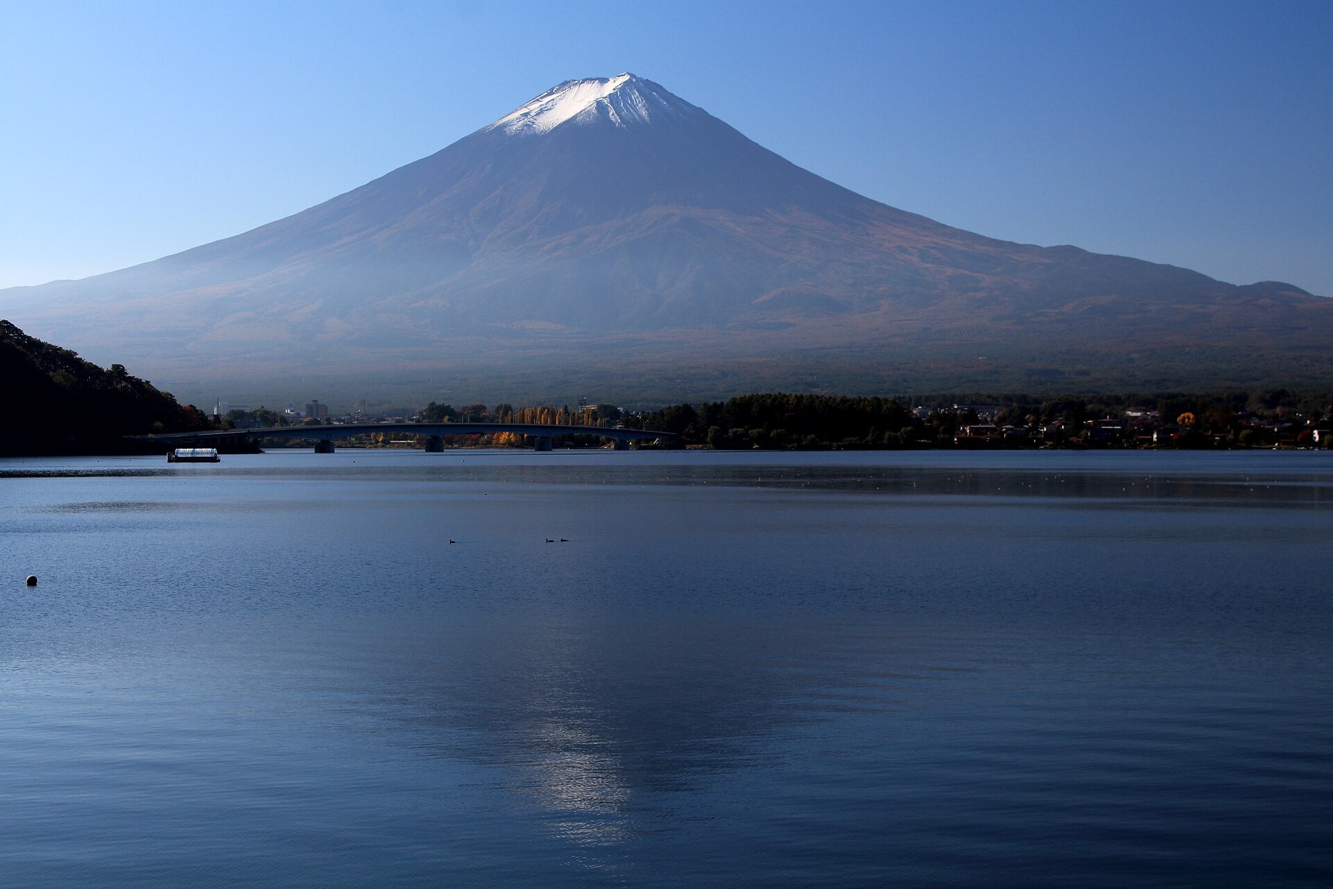 從河口湖看出去的富士山——大部分人心裡想的那張畫面,就是在這個湖畔拍的