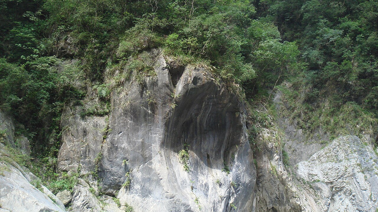 太魯閣峽谷邊坡的大理石岩壁特寫，灰白色岩層裸露、紋理清晰可見，岩壁上方與周圍被茂密的綠色植被覆蓋。