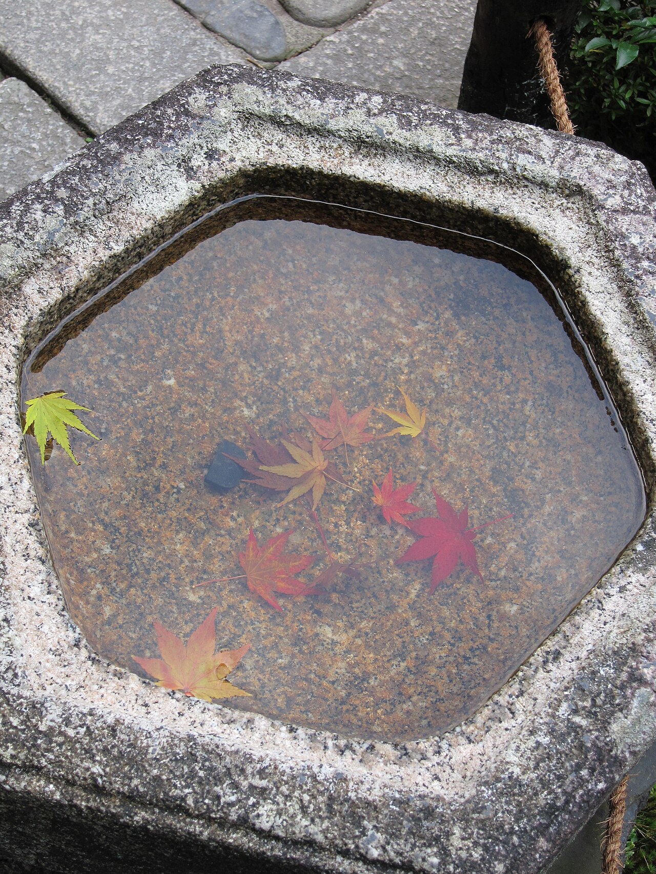 京都東福寺通天橋的秋日楓海,是京都賞楓第一名所。