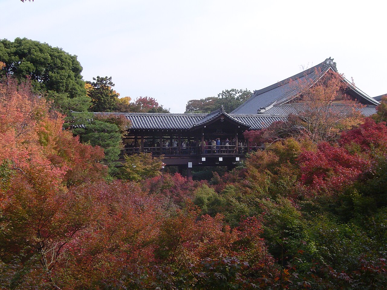 十一月下旬的京都東福寺通天橋,是賞楓季最擠也最美的名場面(示意圖)。