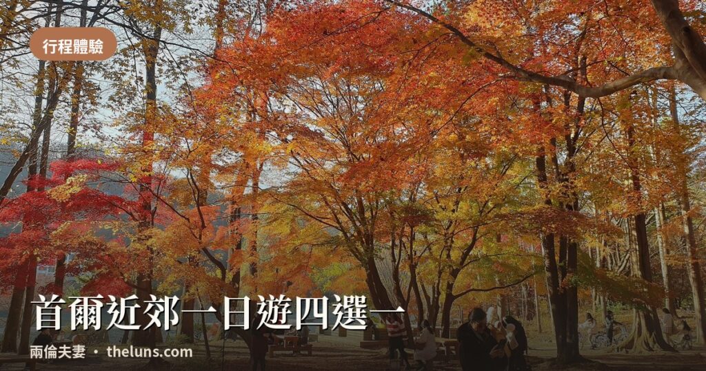 2026首爾一日遊南怡島DMZ四條路線比較