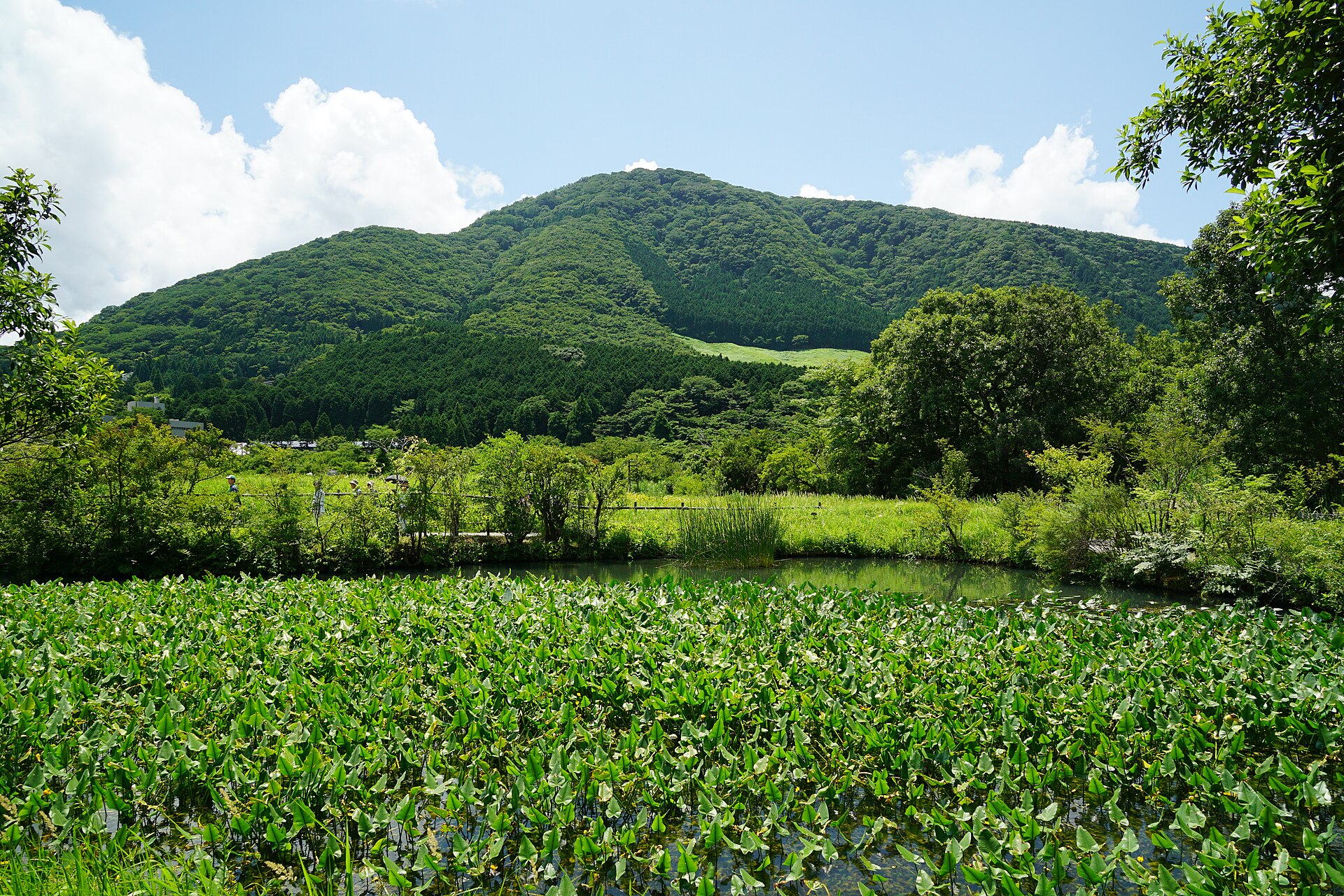 庭園與早川一帶