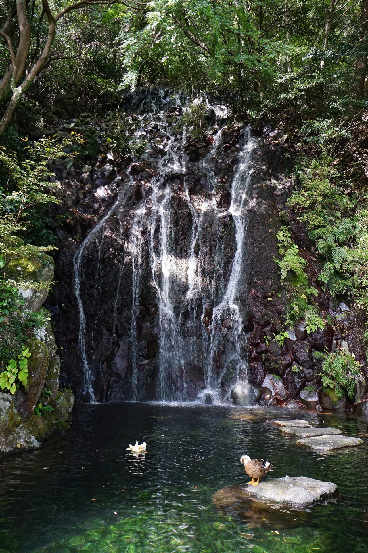 湯本溫泉街（示意）