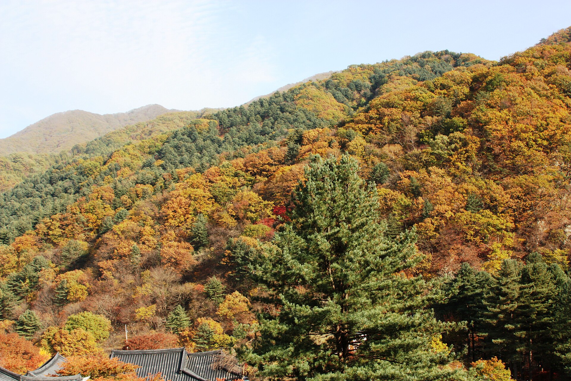 晨靜樹木園所在的加平郡上面一帶,是被山谷包住的地形——這也是它比南怡島更遠、車程更久的原因。此為 Wikimedia Commons 授權實景照片,非兩倫拍攝。