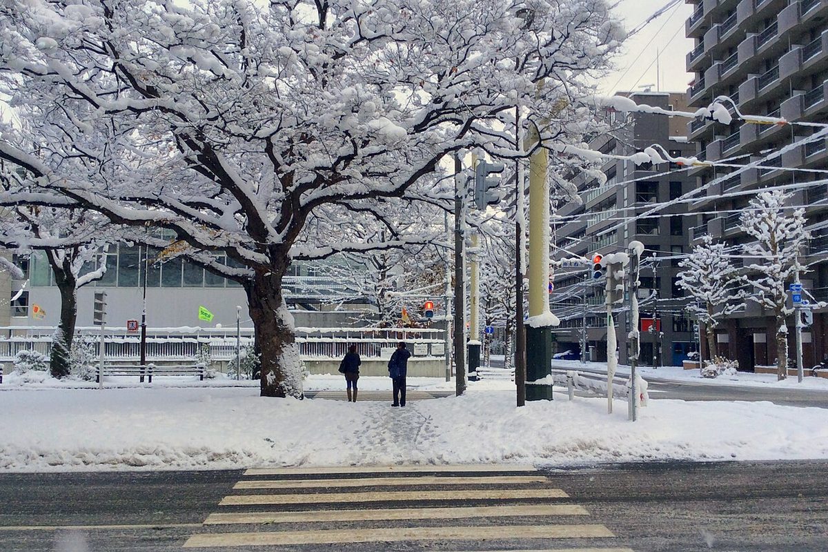 札幌冬天早上的街景。這種積雪的日子,拖行李走十分鐘跟走三十分鐘是完全不同的兩件事