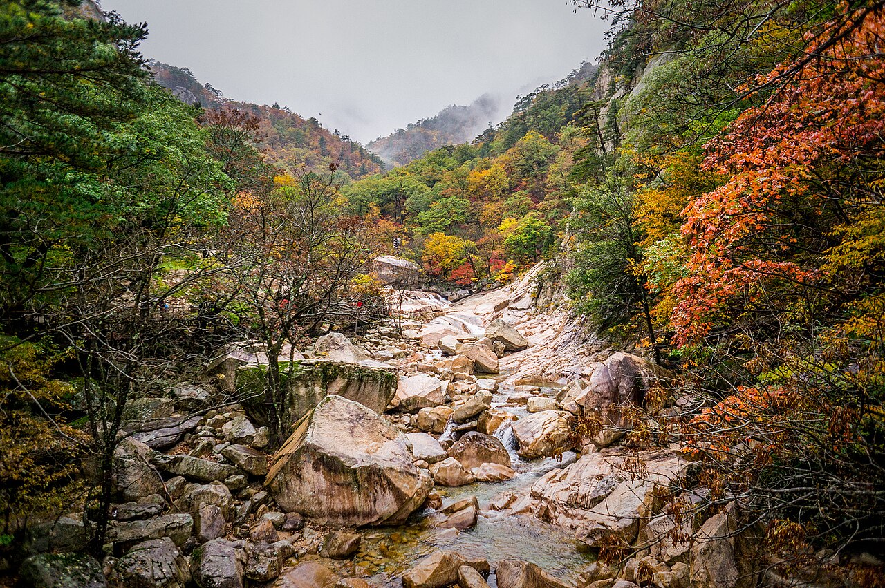 雪嶽山的秋天。2025 年的紀錄是稜線 10/15–10/20、溪谷 10/20–10/27 進入最漂亮的時候