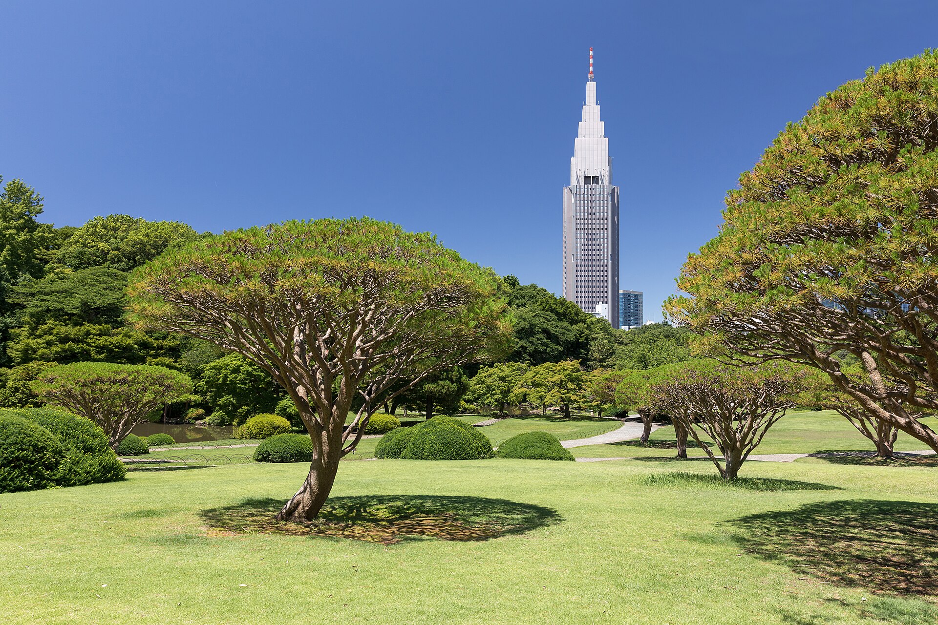 西新宿高樓群，白天很安靜
