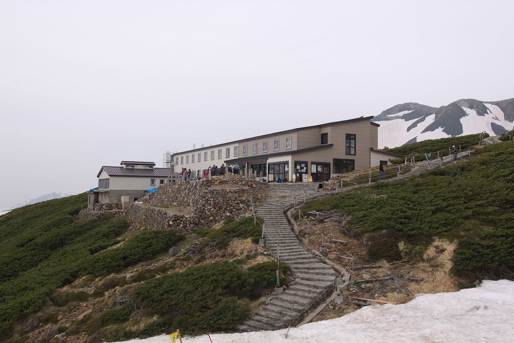 室堂平的御庫裏池一帶。這裡是室堂站走出來最容易到的散步路線，帶長輩走這一段就夠了。