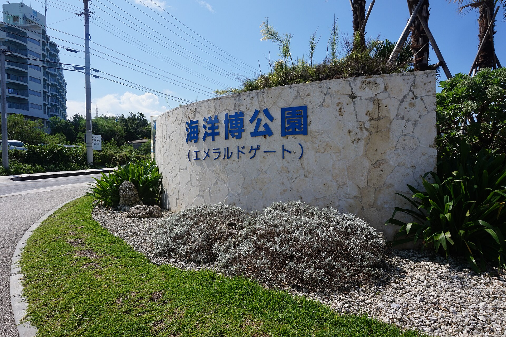 海洋博公園的入口一帶。水族館只是這座公園裡的一館,園區本身很大